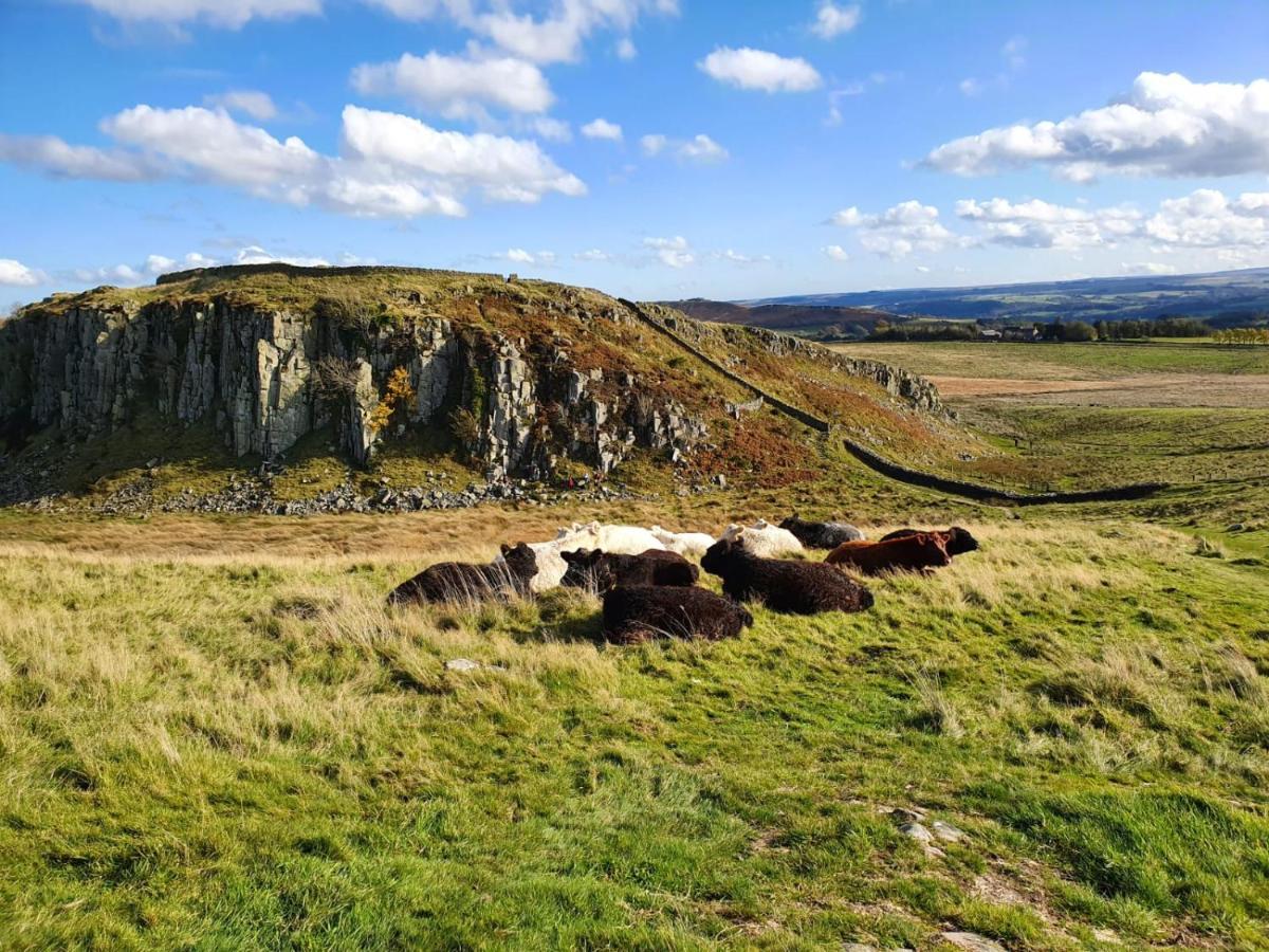 Moonflower Lodge Newton on the Moor Exteriér fotografie